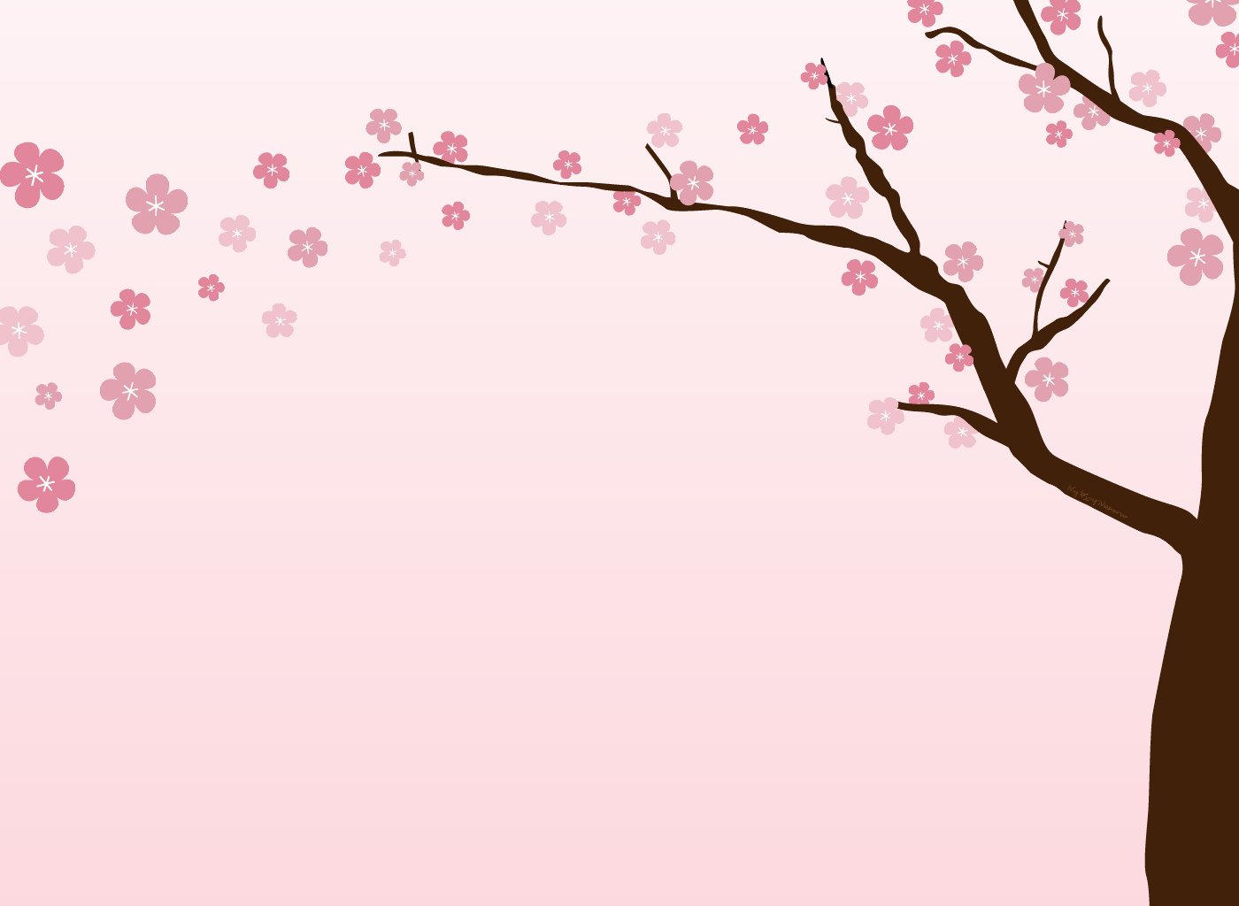 Cherry Blossom Background