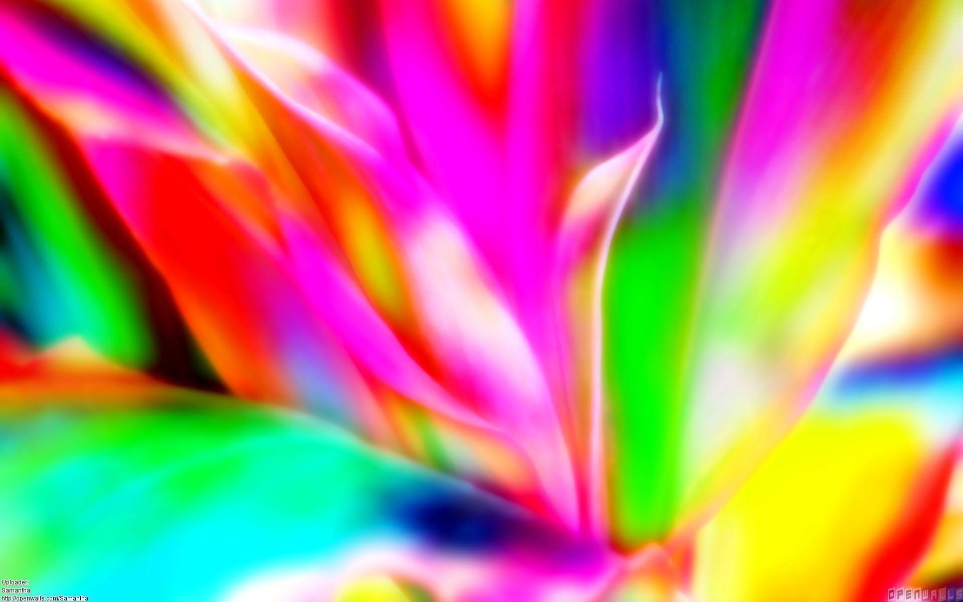 Colorful Background Desktop Photo. Wallmeta