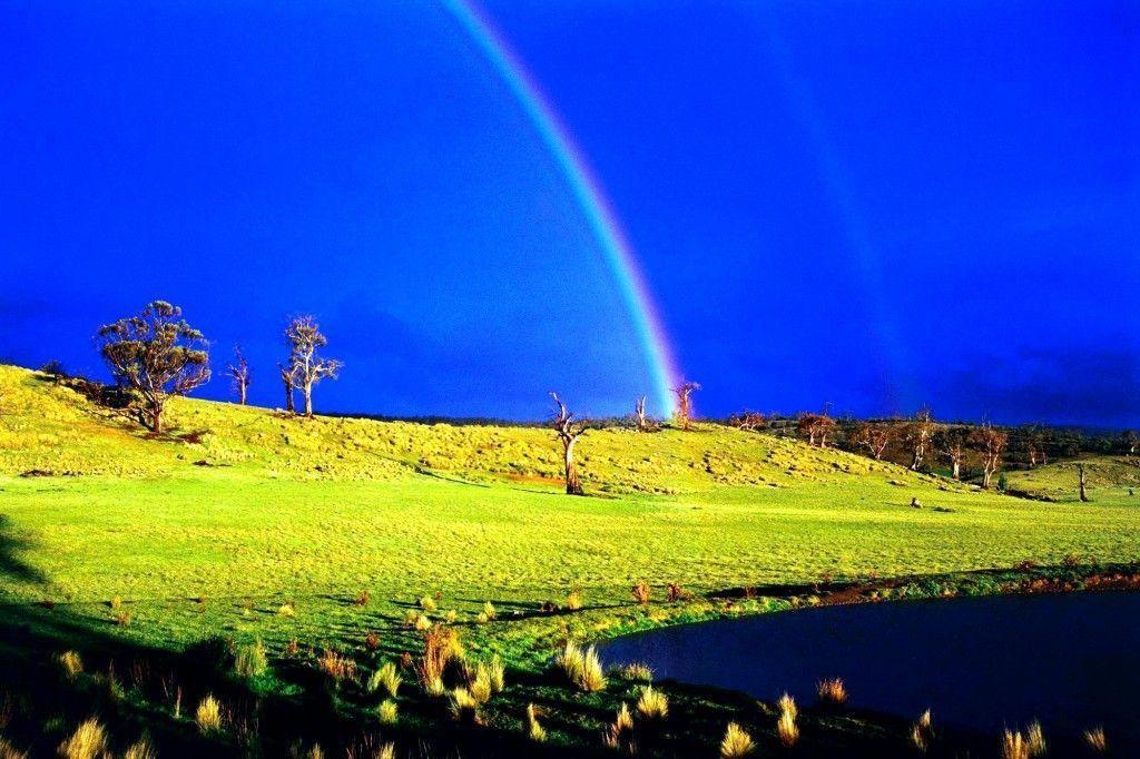 Noteworthy Summertime Field Wallpaper HD 1024x682PX HD Wallpaper