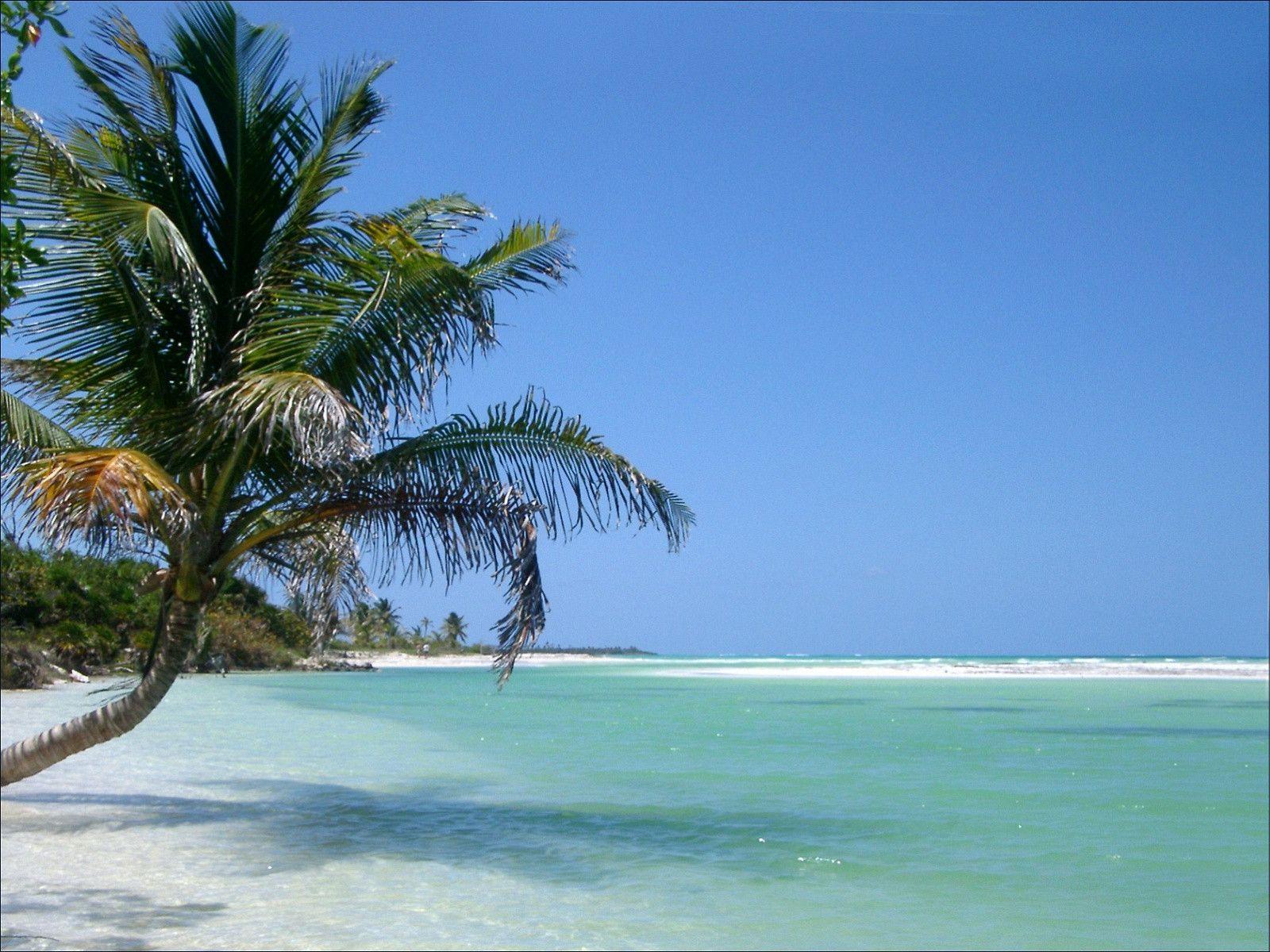 Pin Beach Wallpaper Sea Shore Download Picture