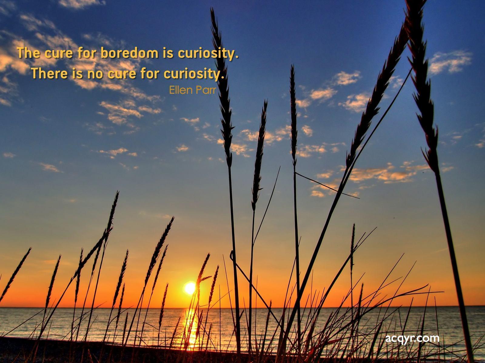 Nature Desktop Computer Sunset Acqyr Download desktop wallpaper