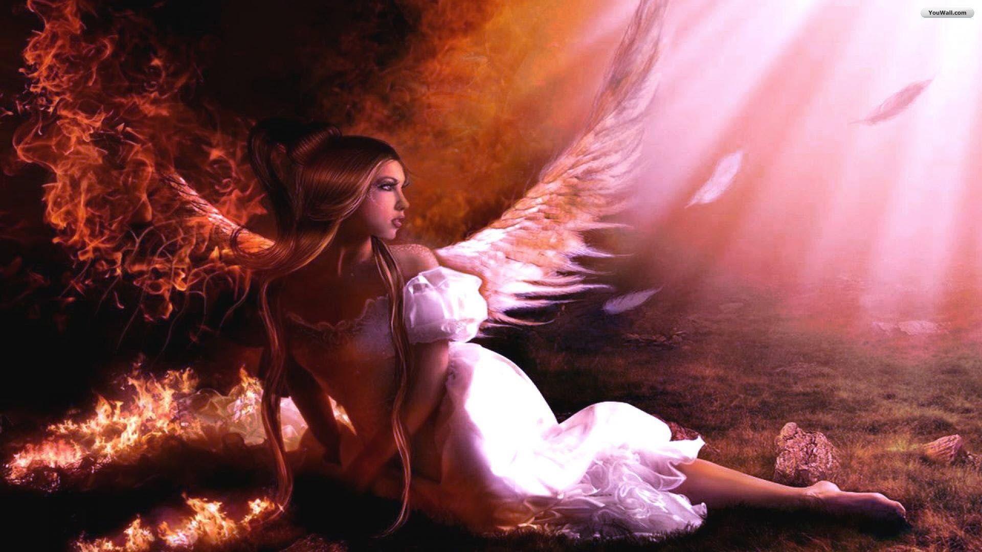 Angel Picture Wallpaper HD high definition theme