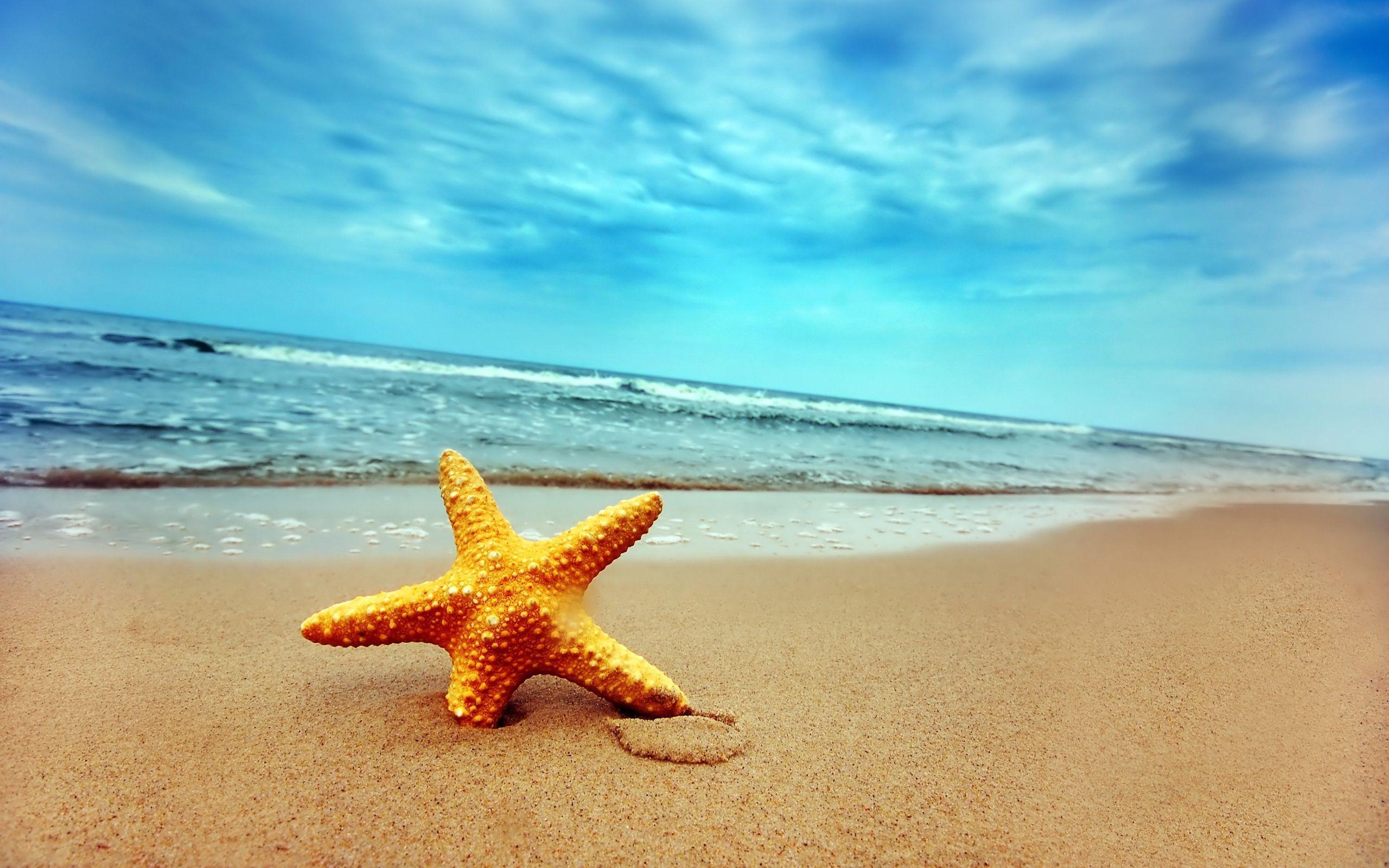 Starfish on Beach Sand Wallpaper and