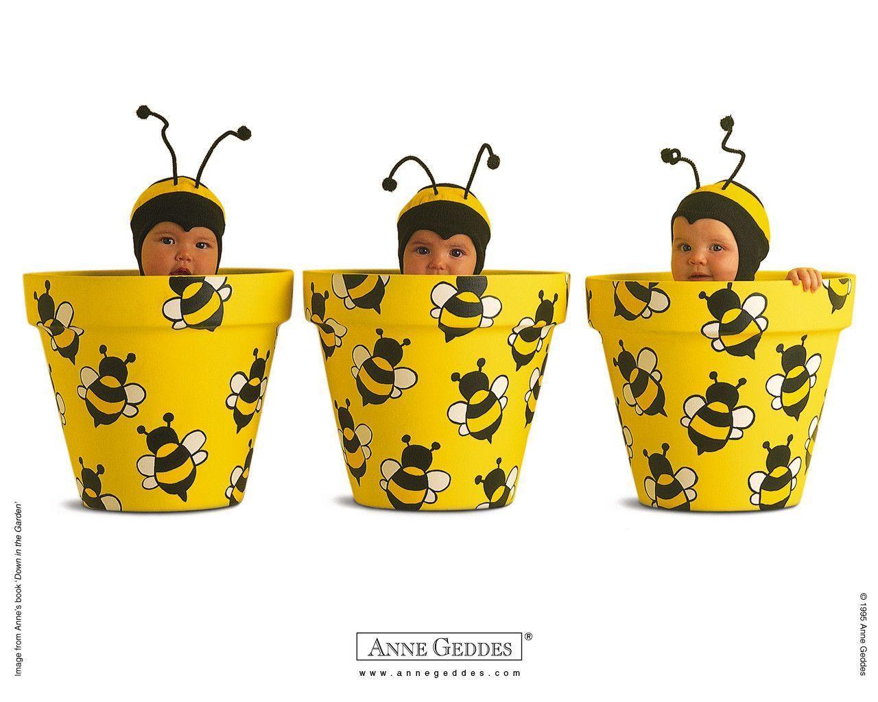 Anne Geddes Baby Photography, Newborn Baby Photography, Baby