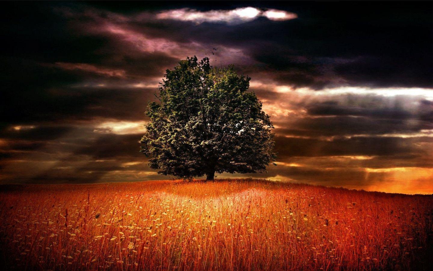 Dark Clouds Wallpapers Wallpaper Cave