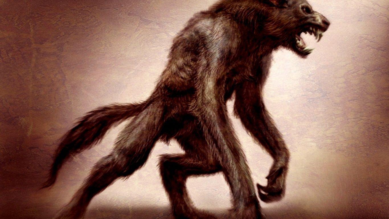 image For > Werewolf Wallpaper