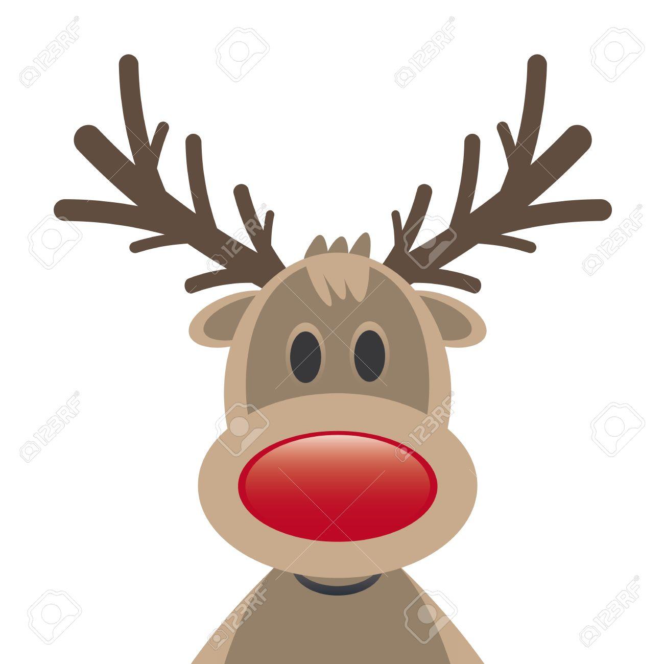 Rudolph Reindeer Red Nose On White Background , Picture