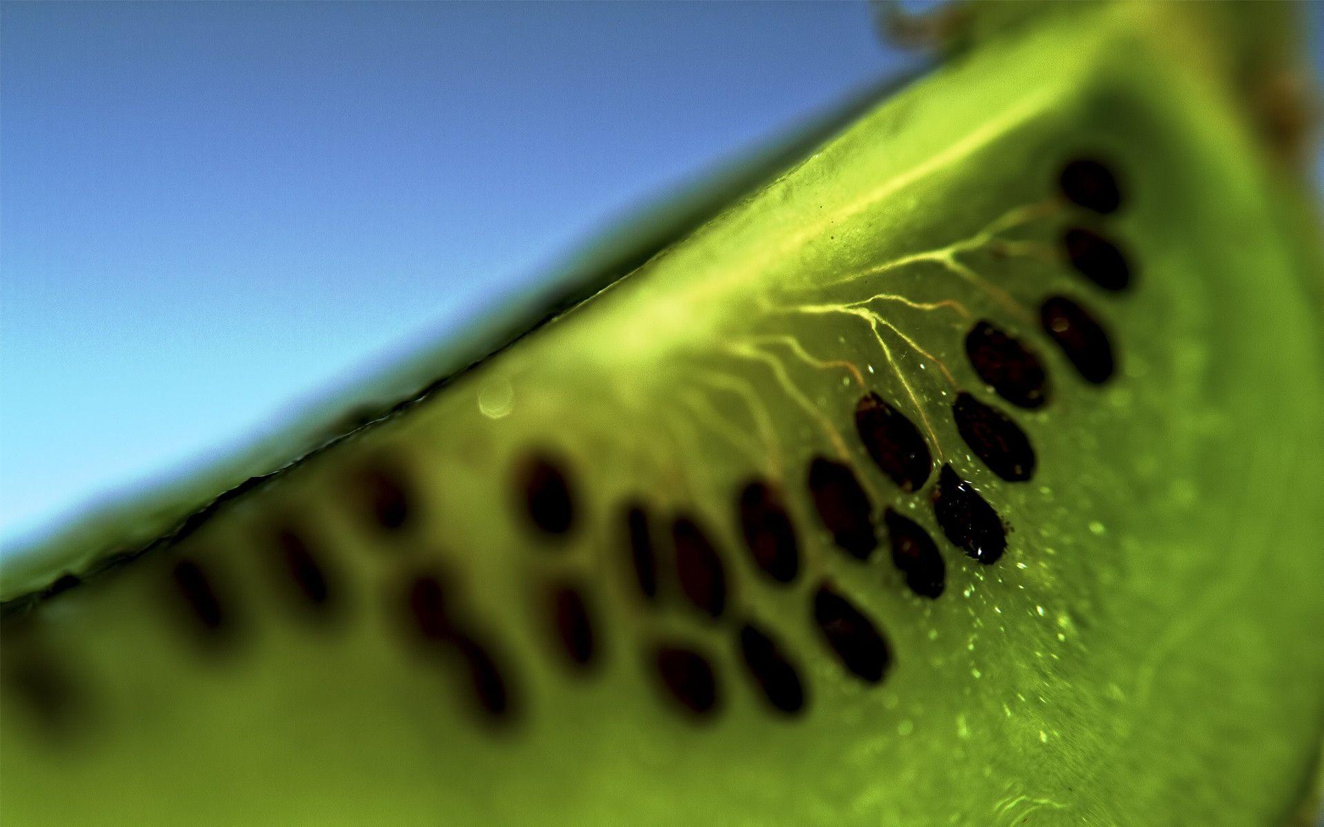 Fresh Kiwi Slice