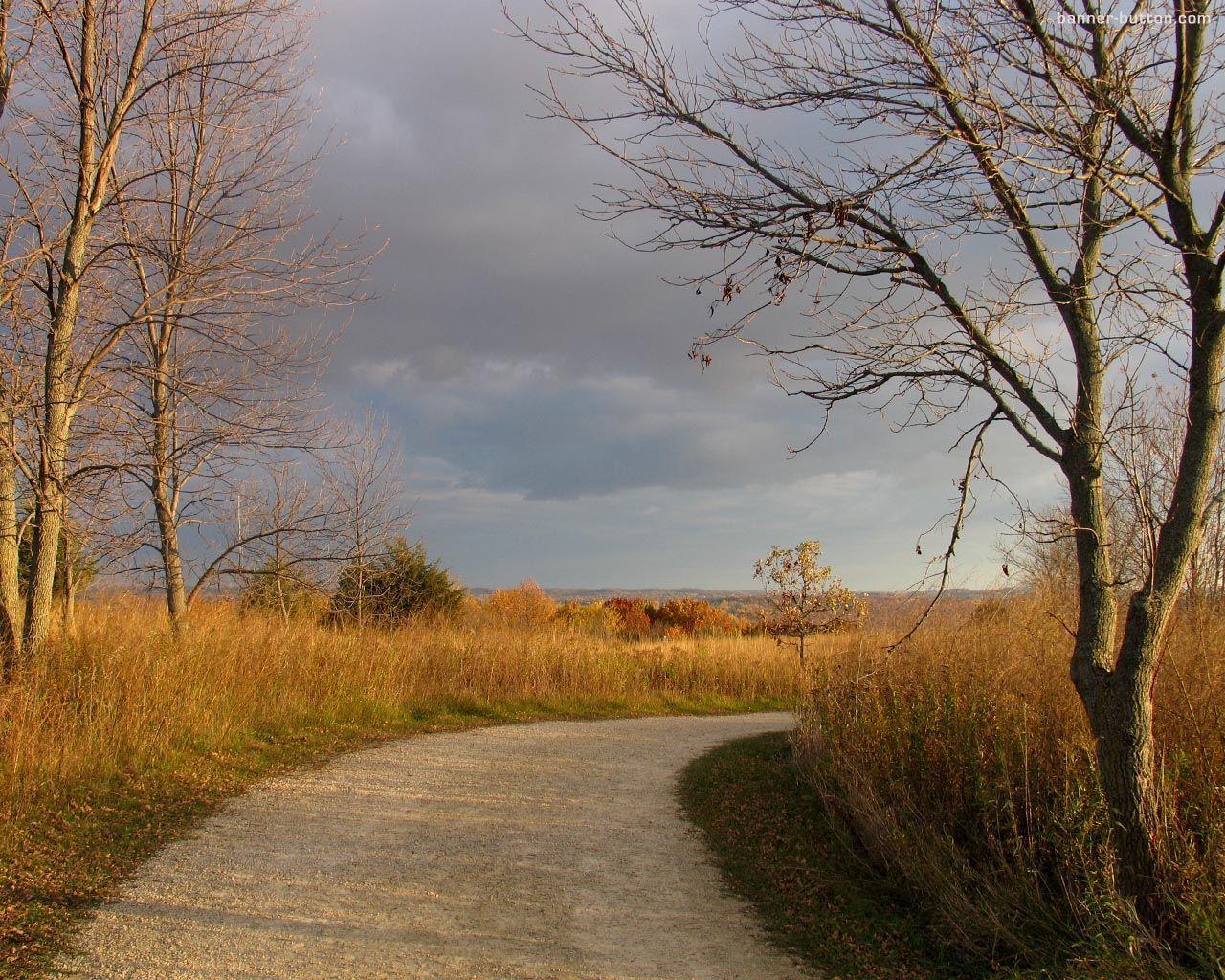Free desktop computer wallpaper. Fall colors wallpaper