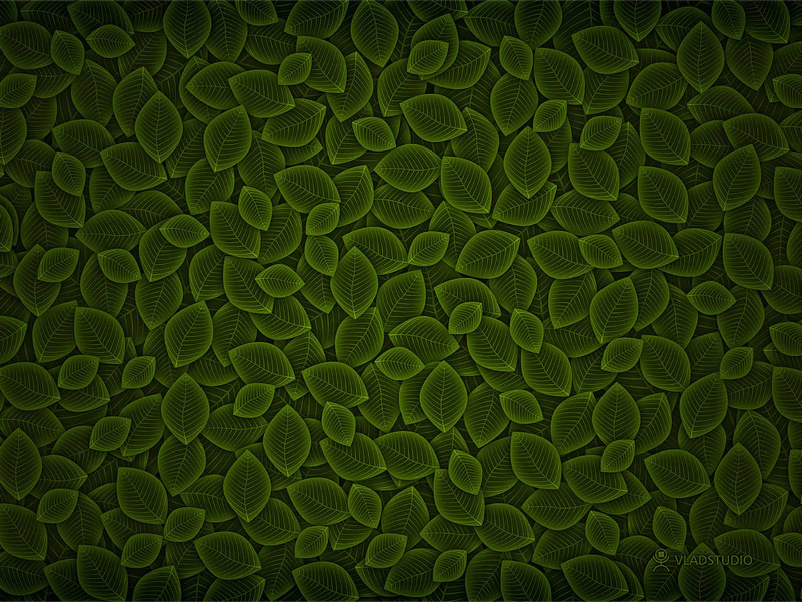 Dark Green Wallpaper 20 195680 Image HD Wallpaper. Wallfoy.com