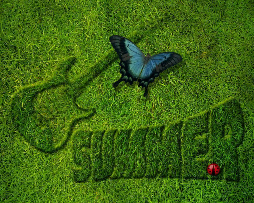 Retro Summer Desktop Wallpaper, wallpaper, Retro Summer Desktop