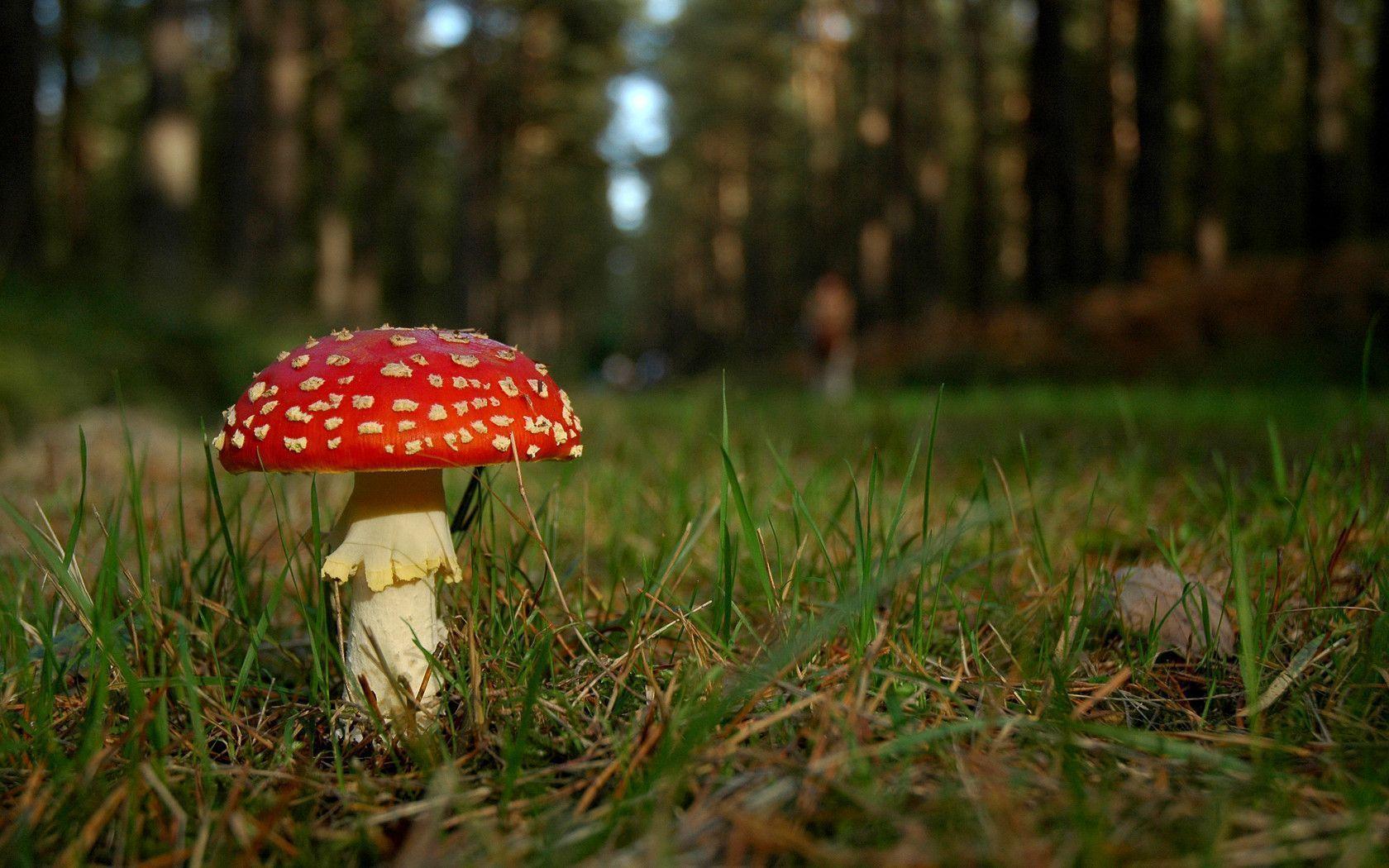 New Background!. The about.me Blog