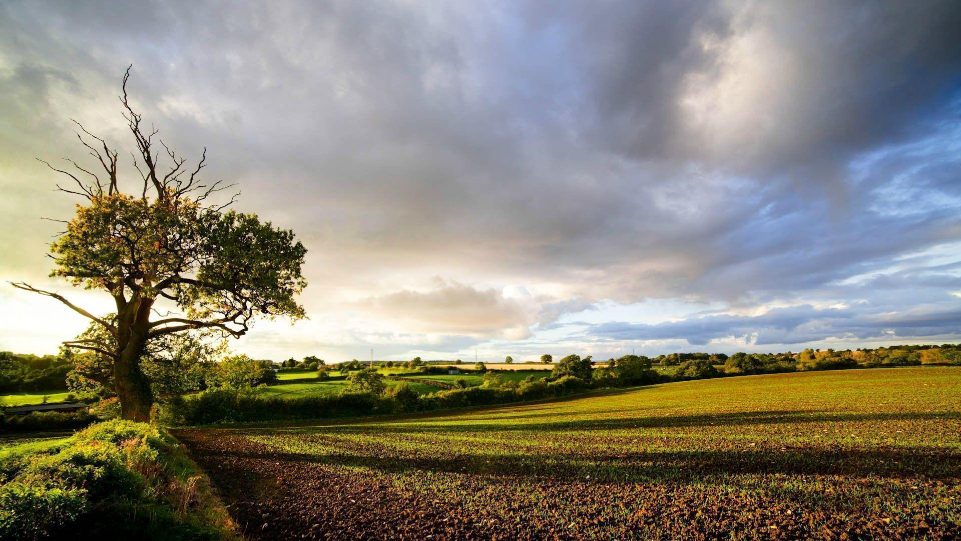 HD wallpaper scenery of sunset during daytime Countryside Söderslätt  cloud  Wallpaper Flare