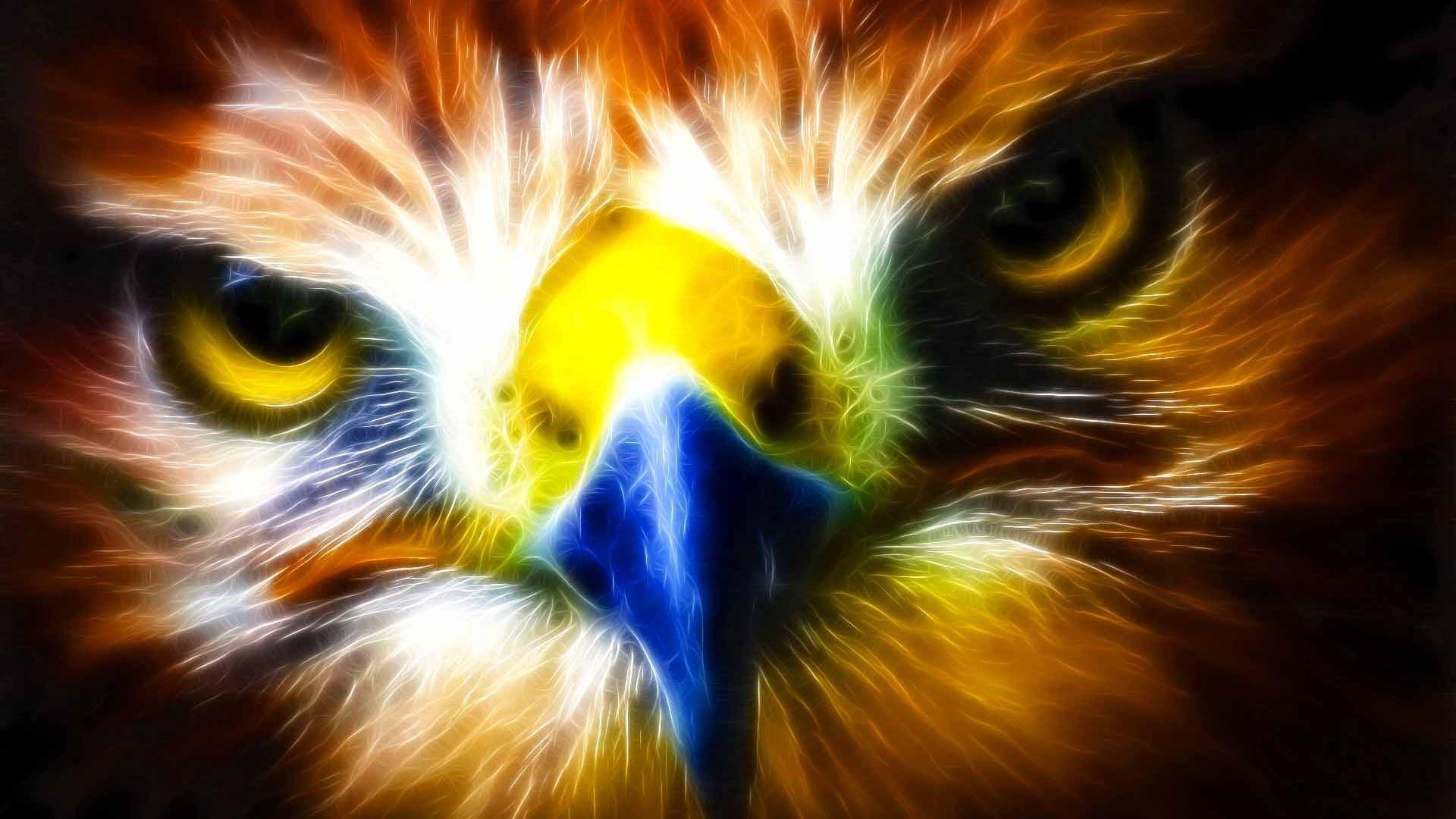 Download Animal Eagle Wallpaper 1920x1080