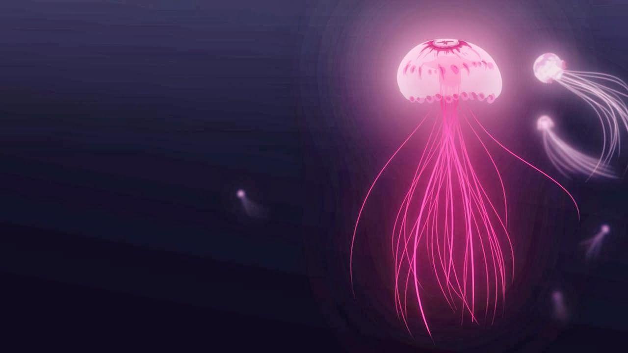Glowing Jellyfish Wallpaper 2 Planent