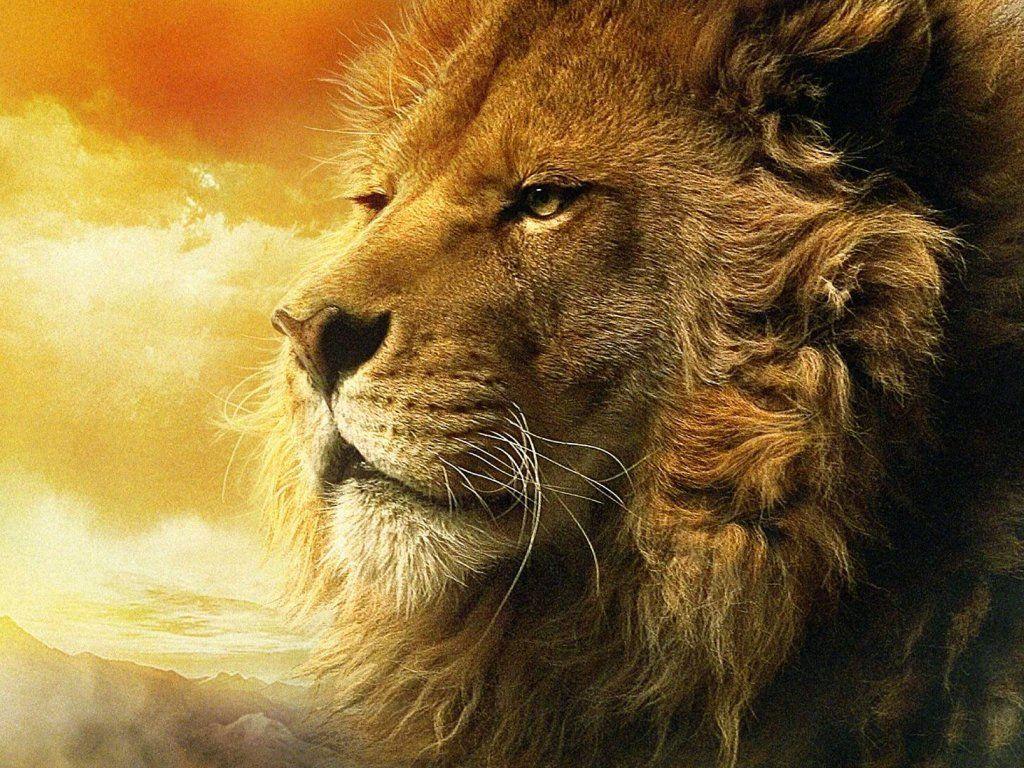 Narnia Aslan HD wallpaper