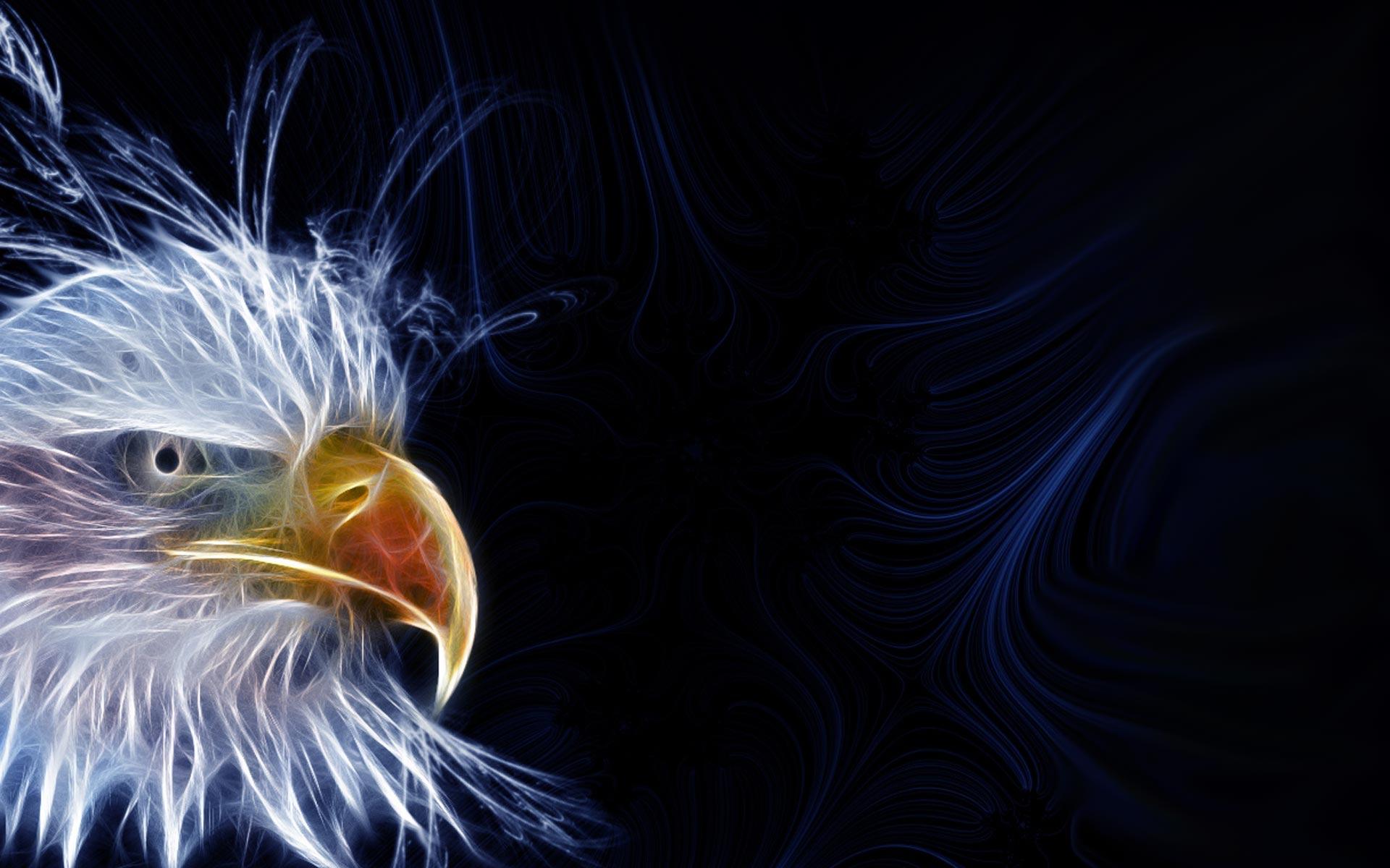 Animals For > 3D Eagle Wallpaper Desktop