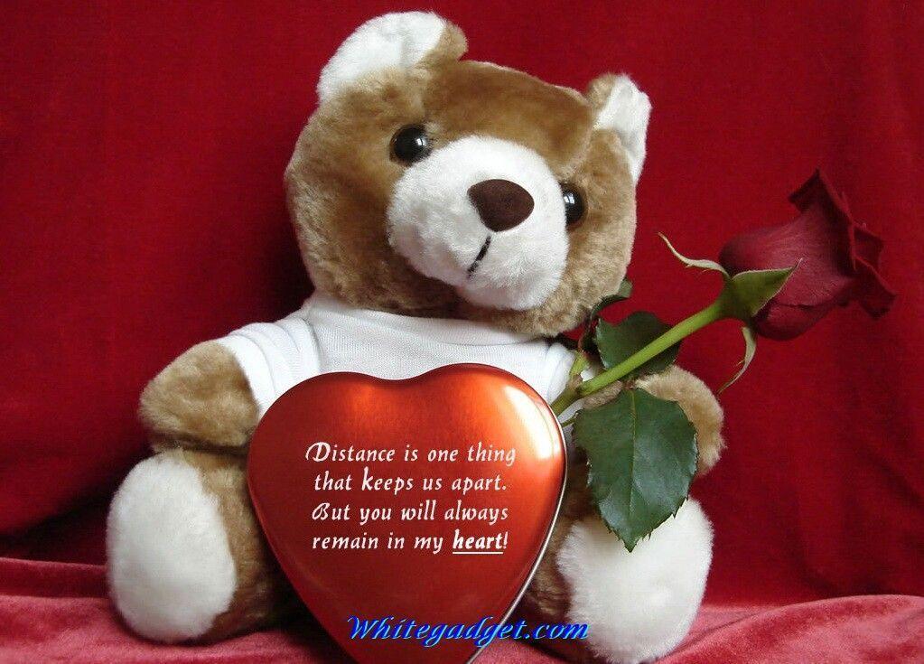 Latest Wallpaper Of Teddy Bears Definition Wallpaper