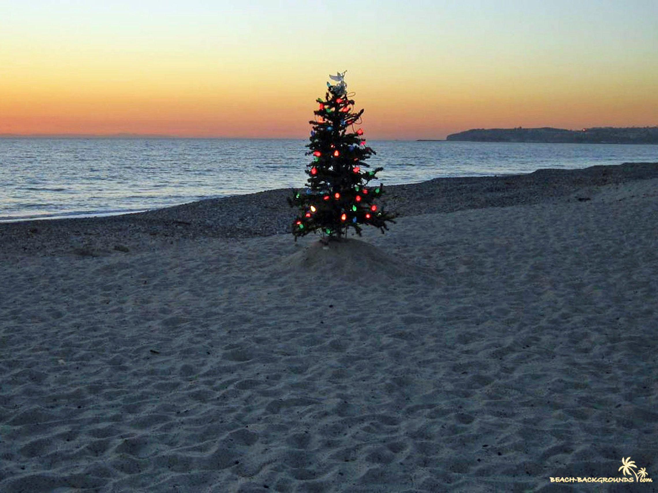 image For > Beach Christmas Wallpaper