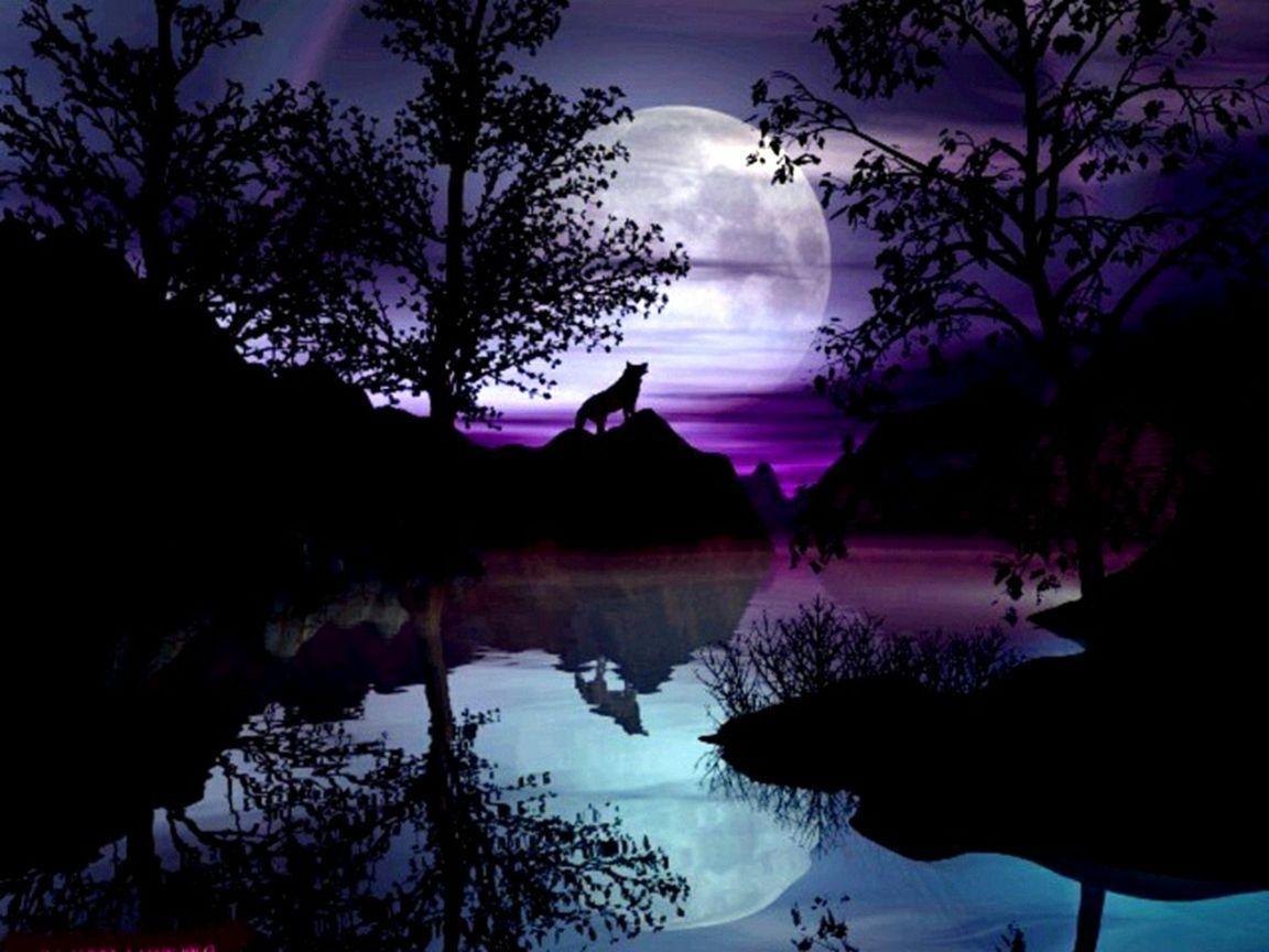 Night Wolf Trees Purple Moon Artwork Water HD wallpaper #