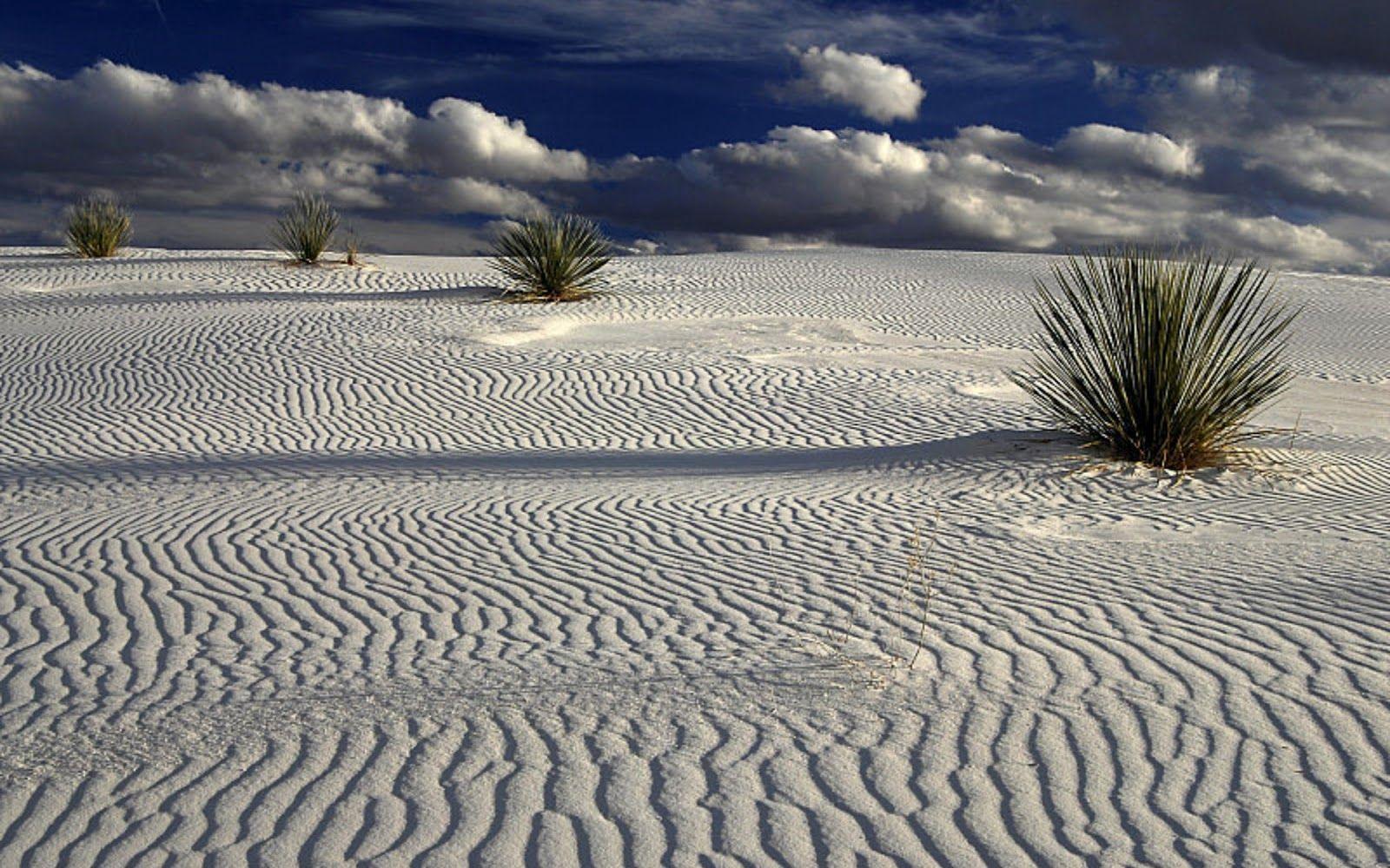 My Best Wallpaper: White Sands Picture