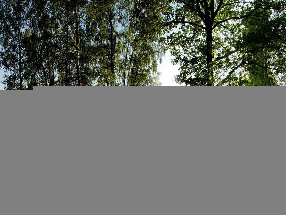 Gallery For > Relaxing Desktop Background