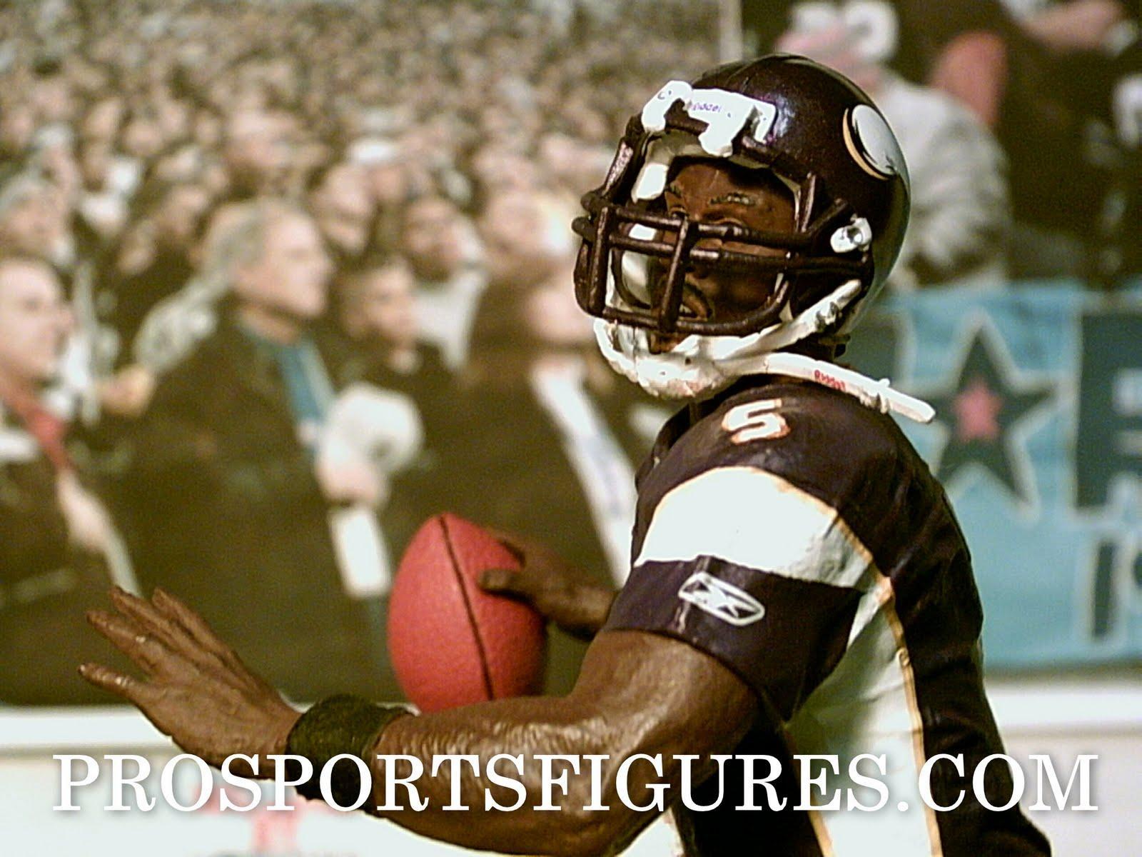 Donovan Mcnabb Vikings