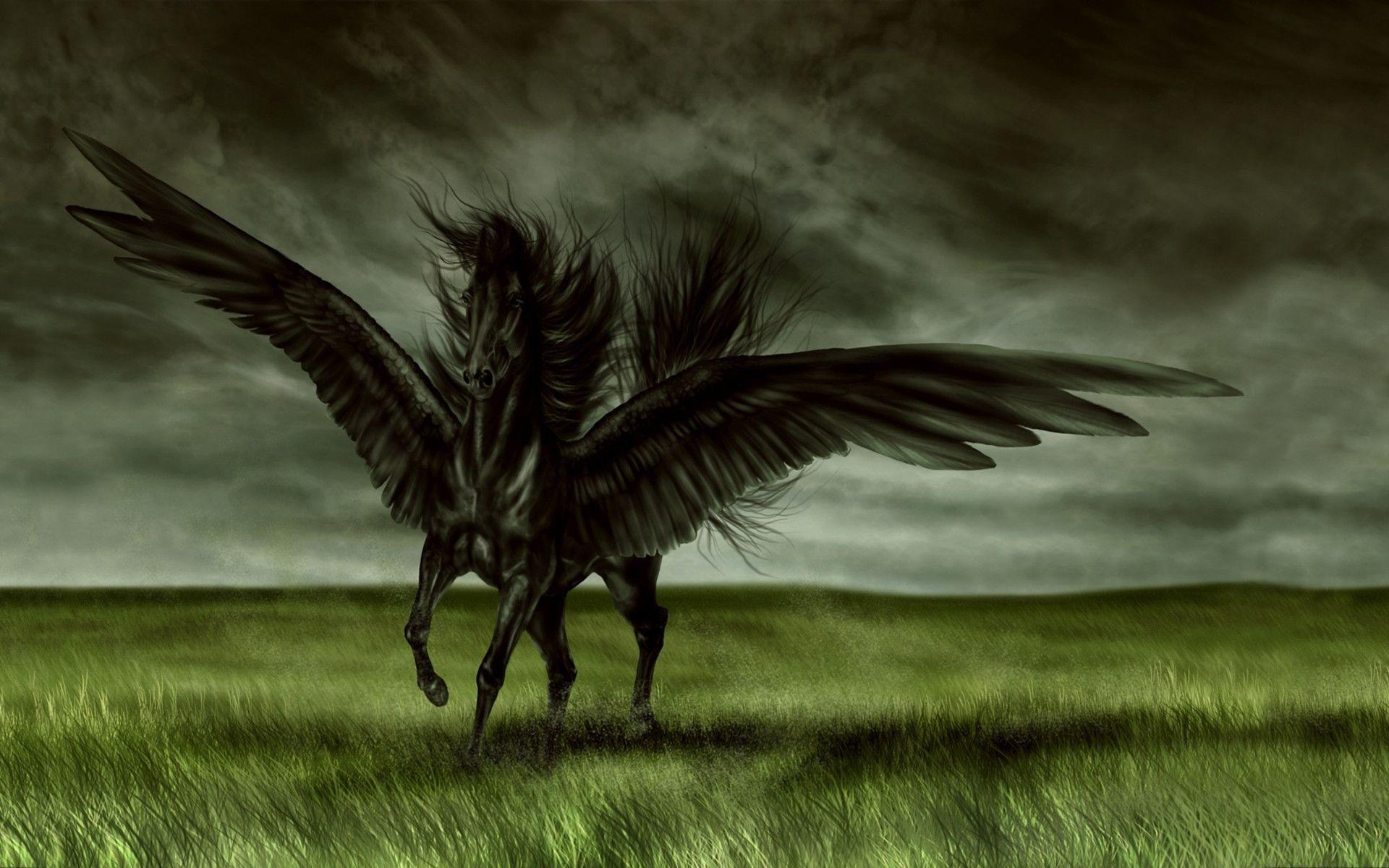 Free Download Dark Fantasy Magic Horse Wallpaper 1920x1200 px Free