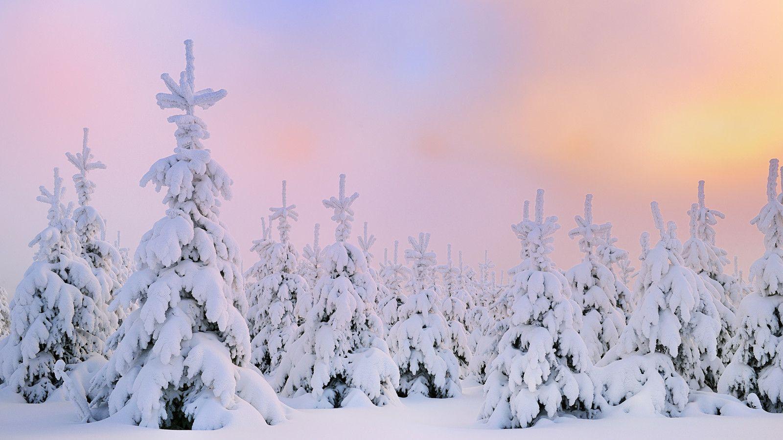 Winter Snow Desktop Wallpaper HD 49817 Series