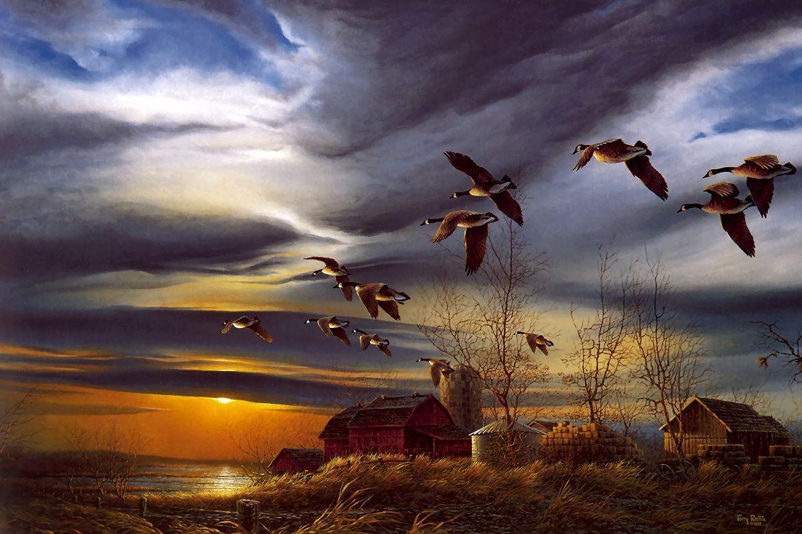 image For > Flying Geese Wallpaper
