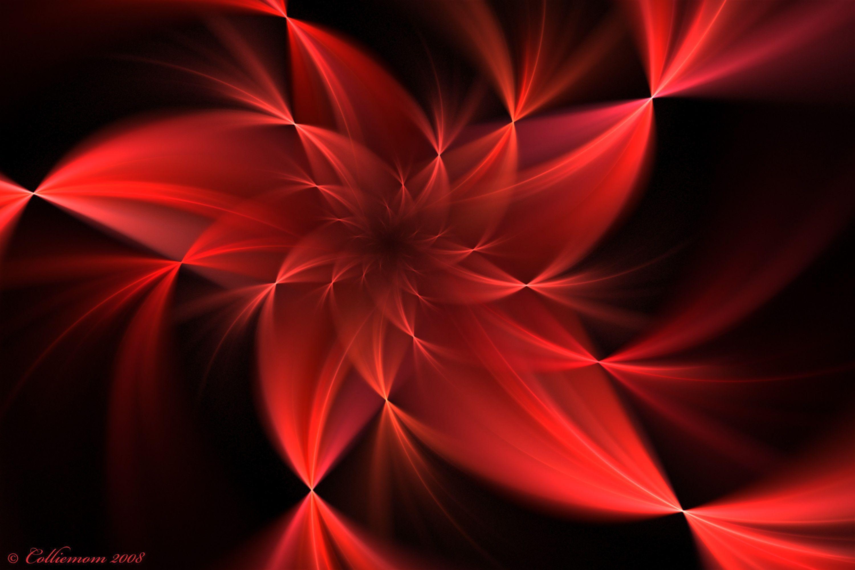 red flower abstract wallpaper