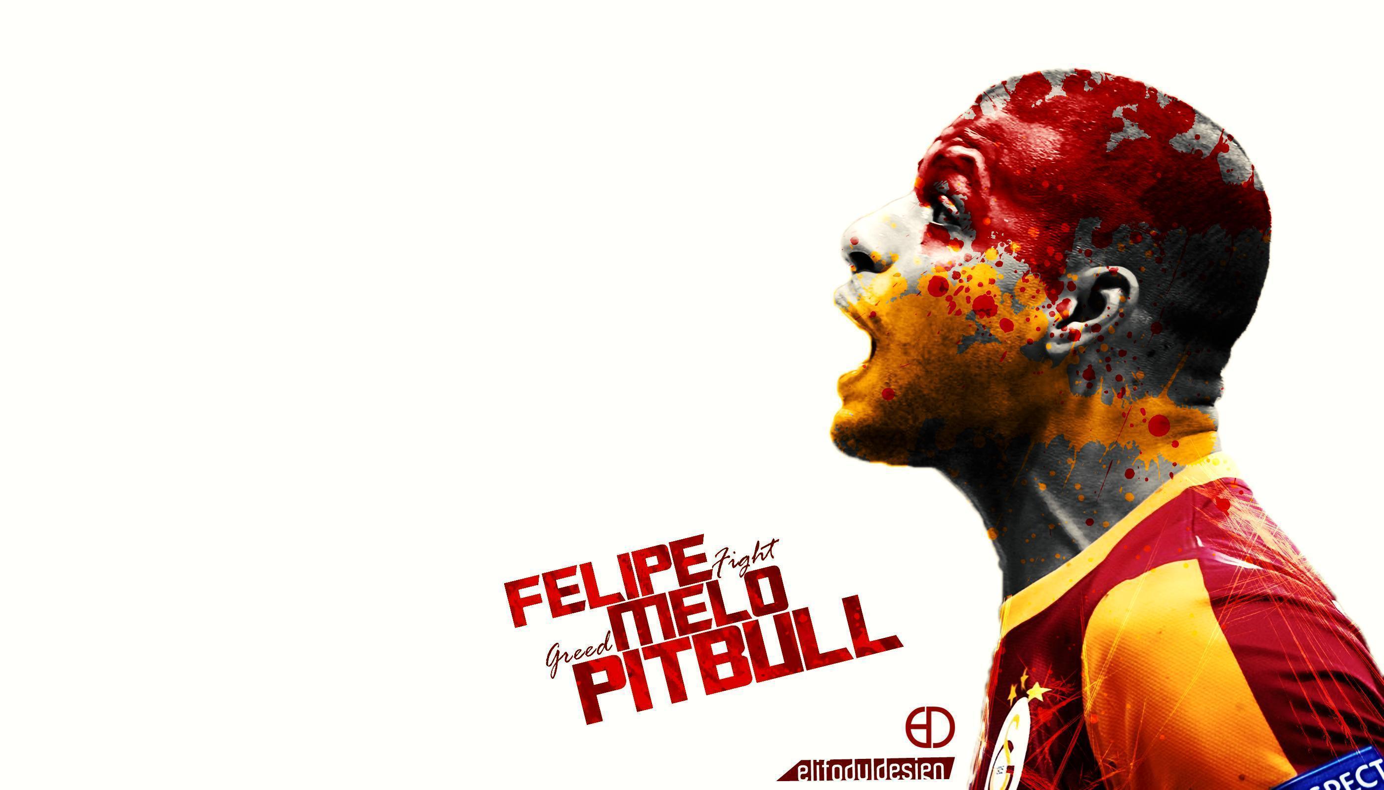 More Like Felipe Melo Wallpaper 2015