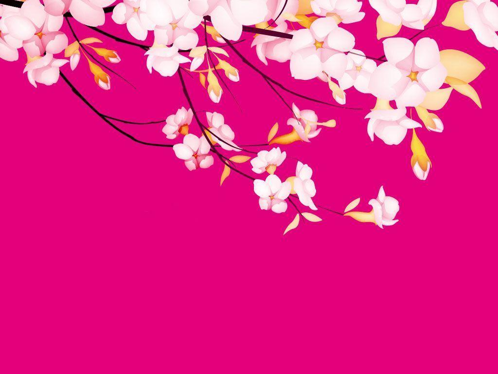 Flower Pink Flowers Pretty Wallpaper and Picture. Imageize: 199