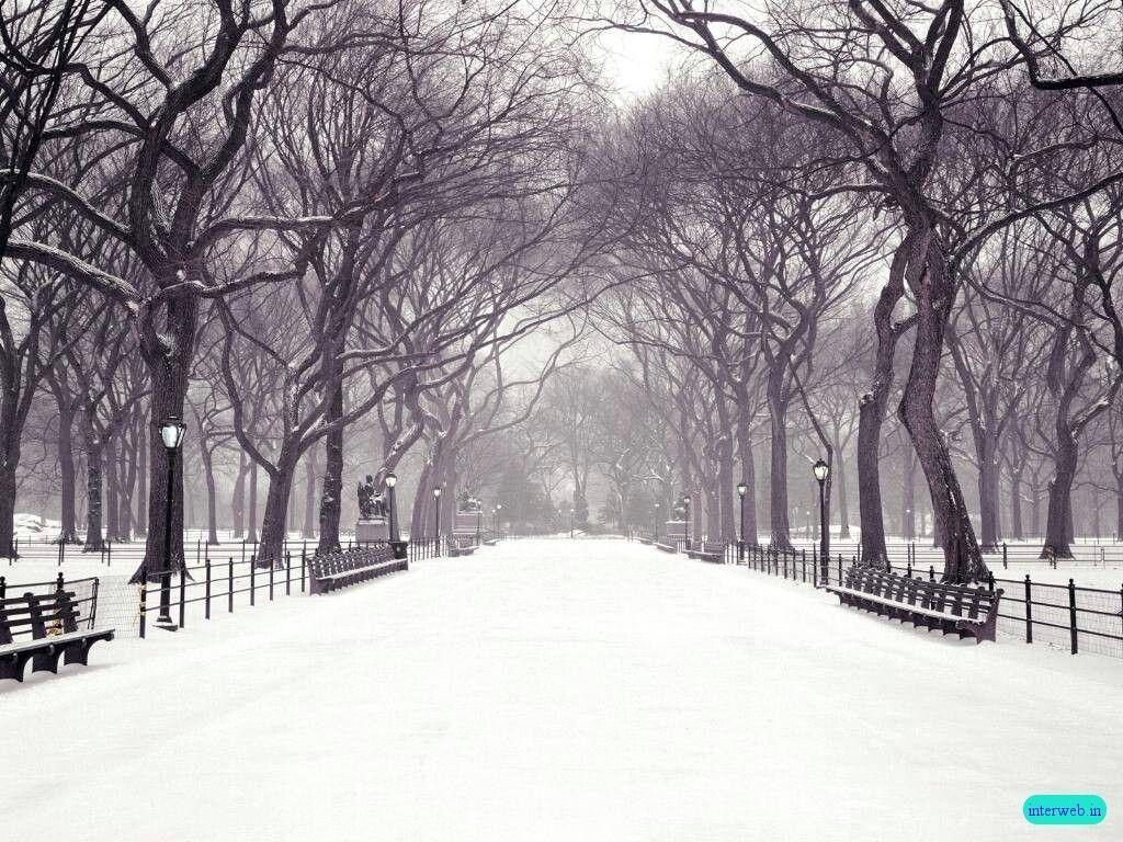 Snow Winter Picture 5 HD Wallpaper. Hdimges