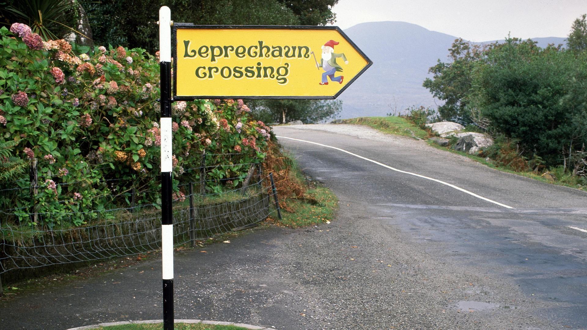 Leprechaun Crossing, Ireland #