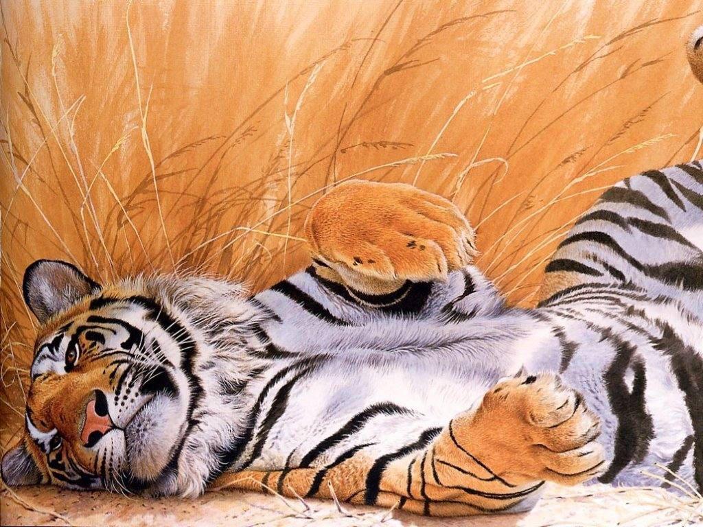 Wild Cats In The Wild HD. Cats Wallpaper HD