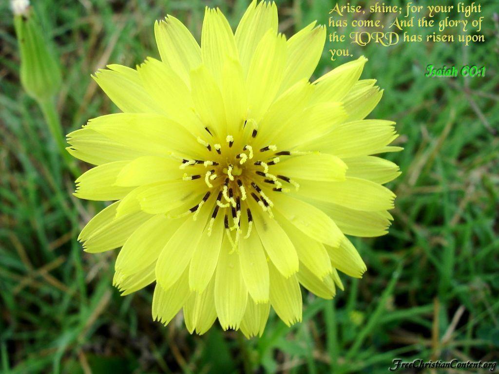 FCC&;s Bible Verse Wallpaper