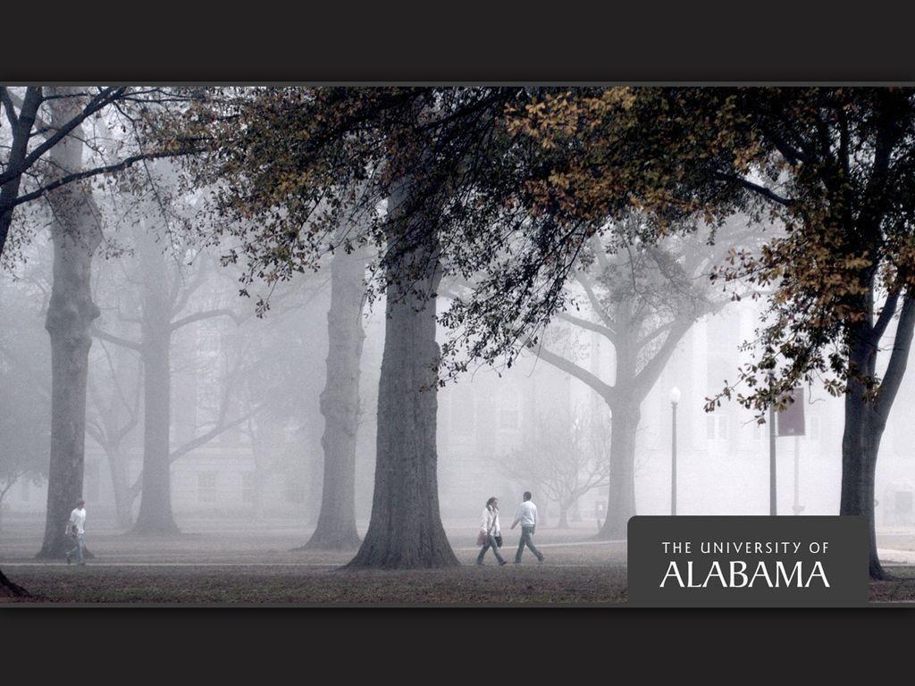 Wallpaper University of Alabama