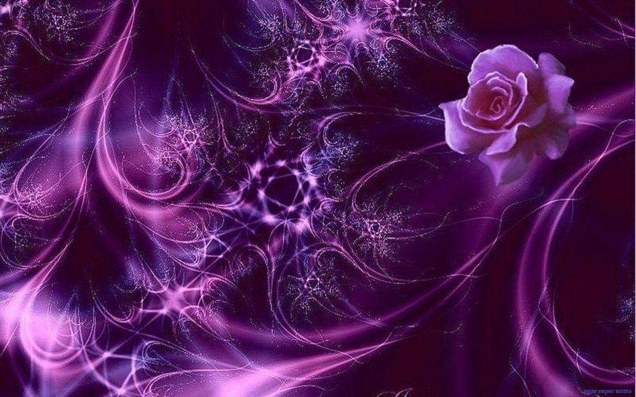 Wallpapers Of Purple Rose Flowers Pictures 5 HD Wallpapers