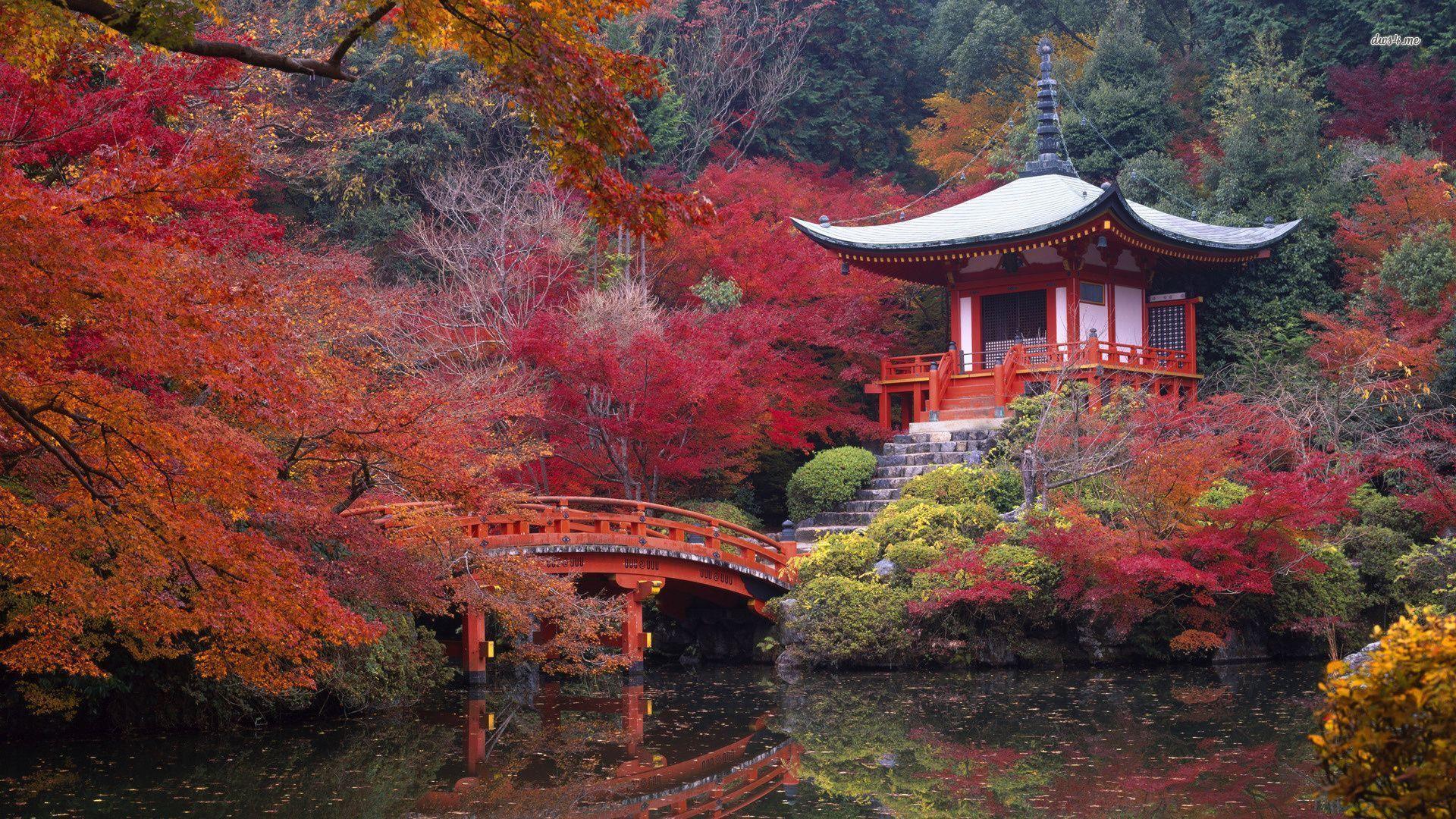 Temple In Kyoto