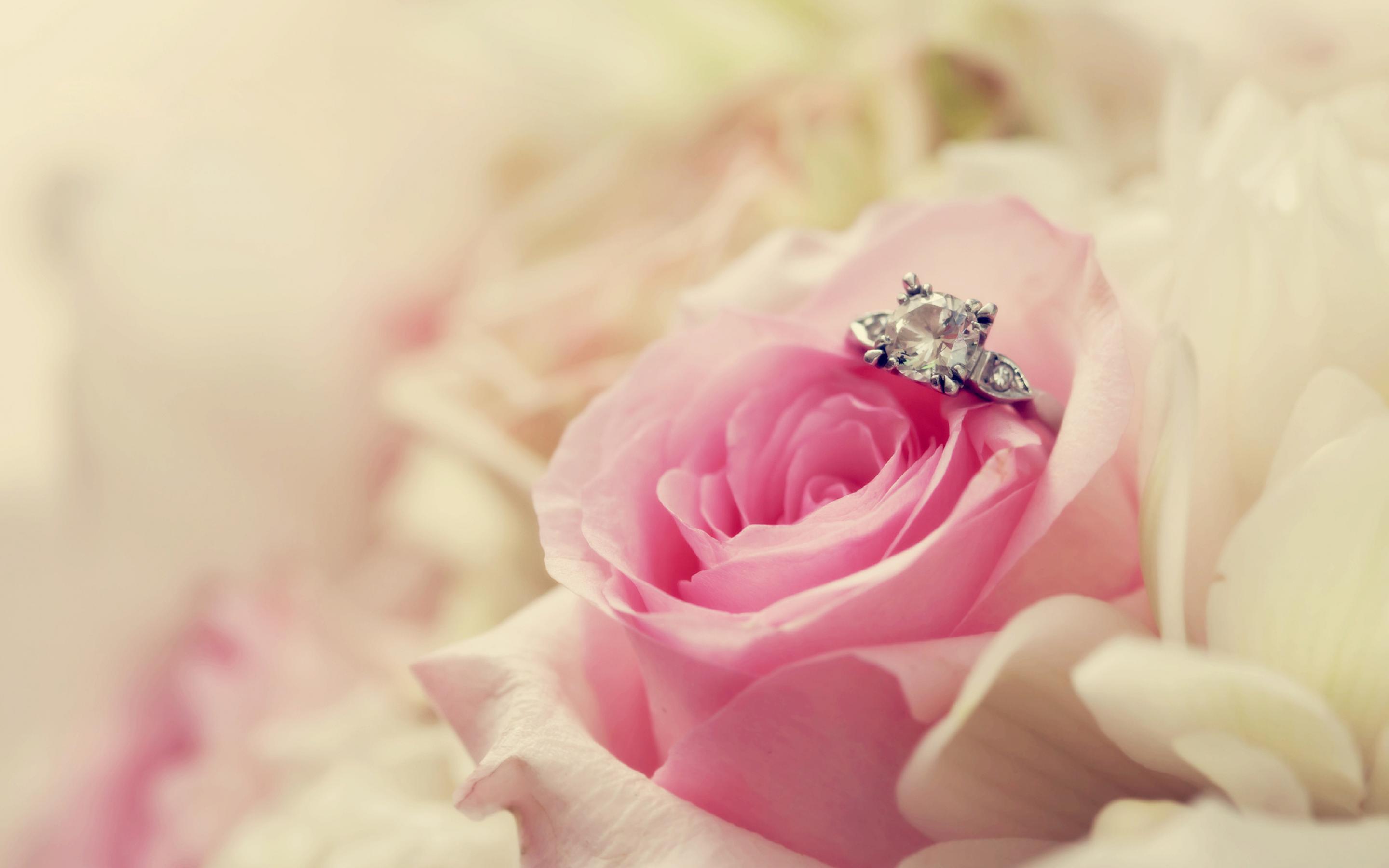 Romantic Pink Rose And Diamond Ring HD Wallpaper