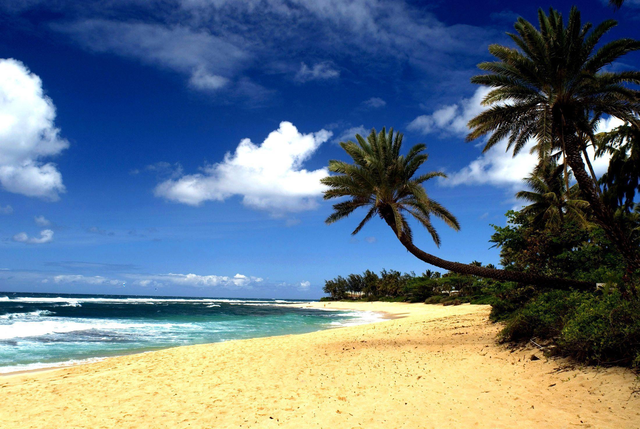 Hawaii Beach Free Wallpaper In Free Desktop Background Category