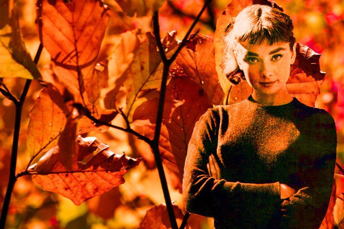 Audrey Hepburn Wallpaper, Desktop Photo Download. HD Wallpaper