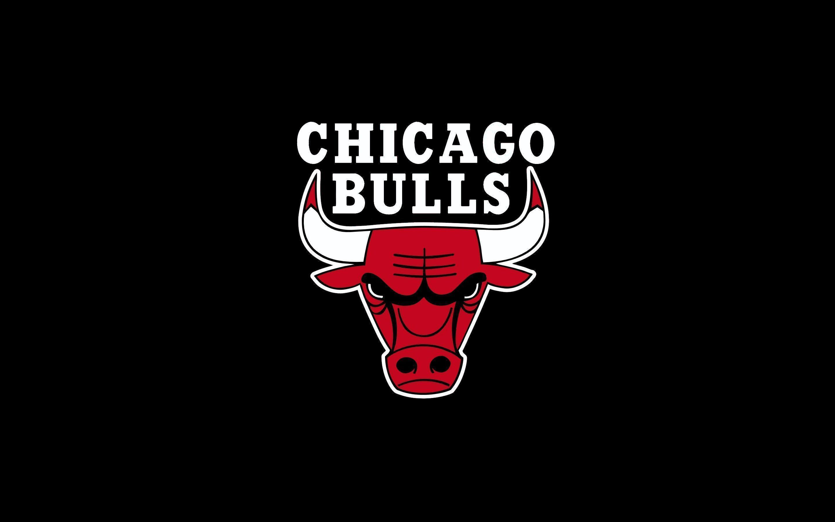 Chicago Bulls Logo 39 Background. Wallruru