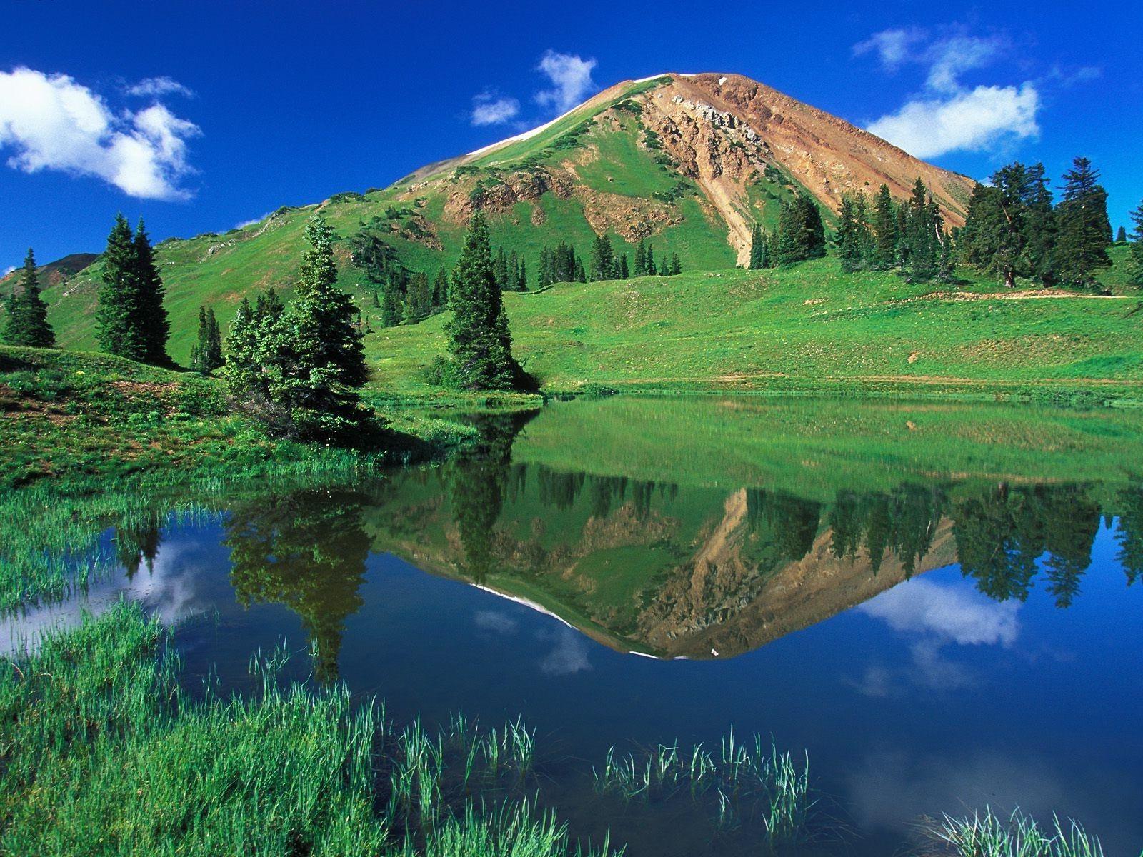 Smart Laurie Raised by Teenagers Best Nature Wallpaper HD