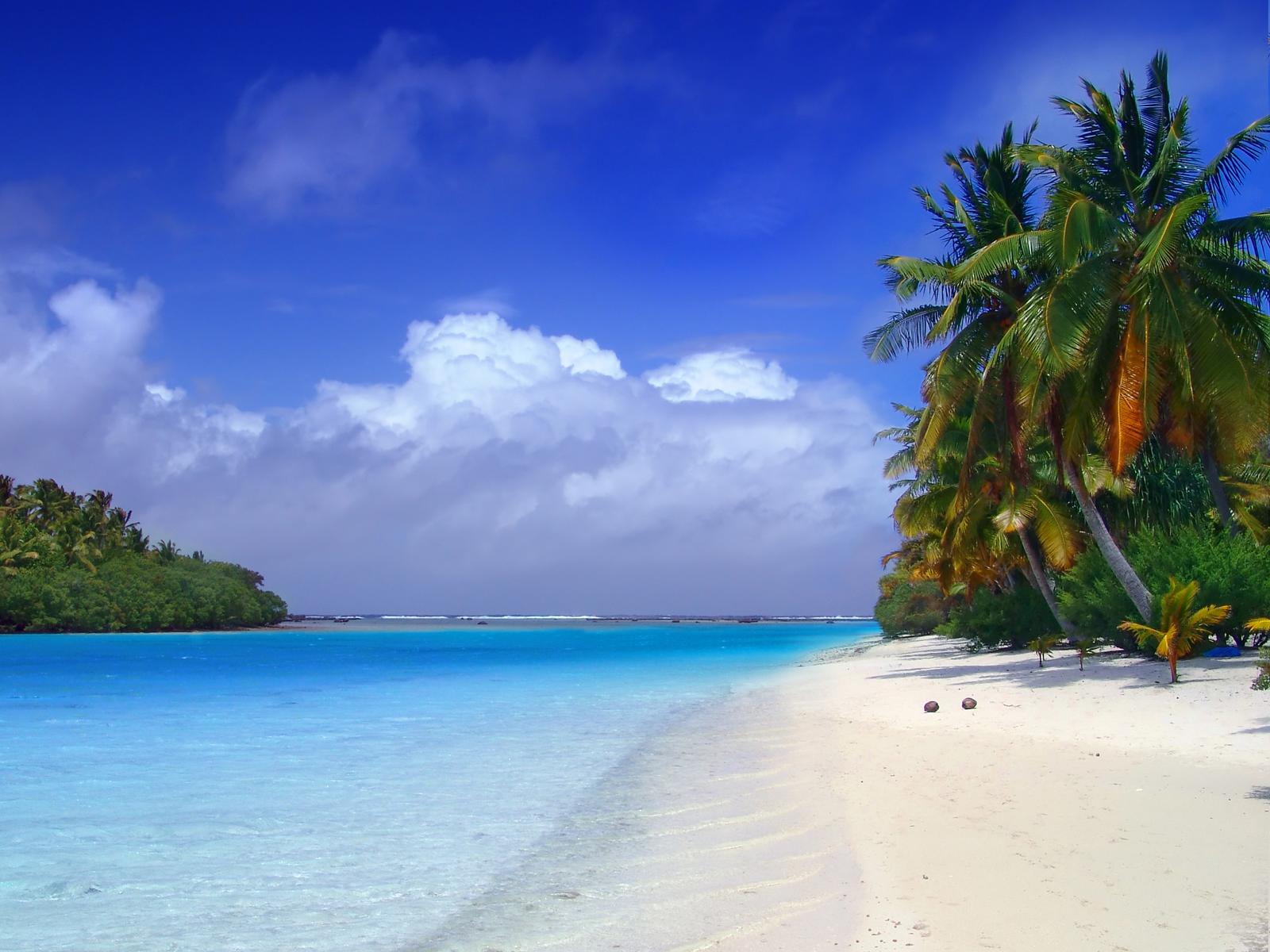 Tropical Inlet Wallpaper 09 10.png