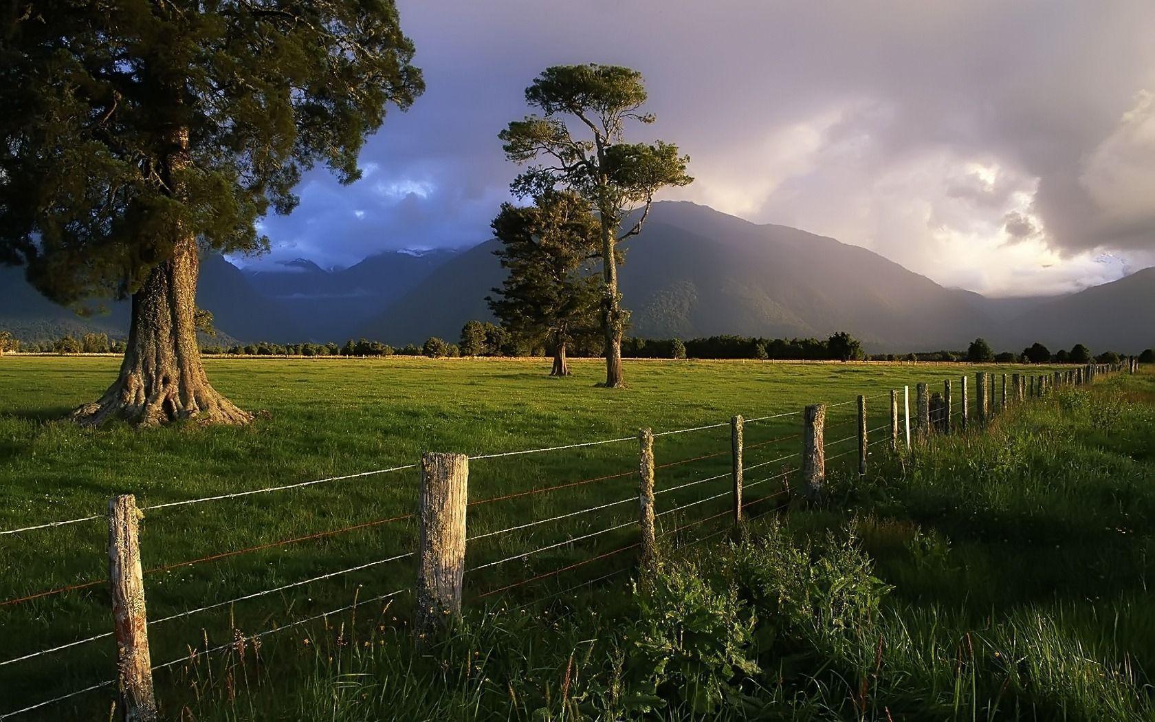 Diagonal Fence in Landscape