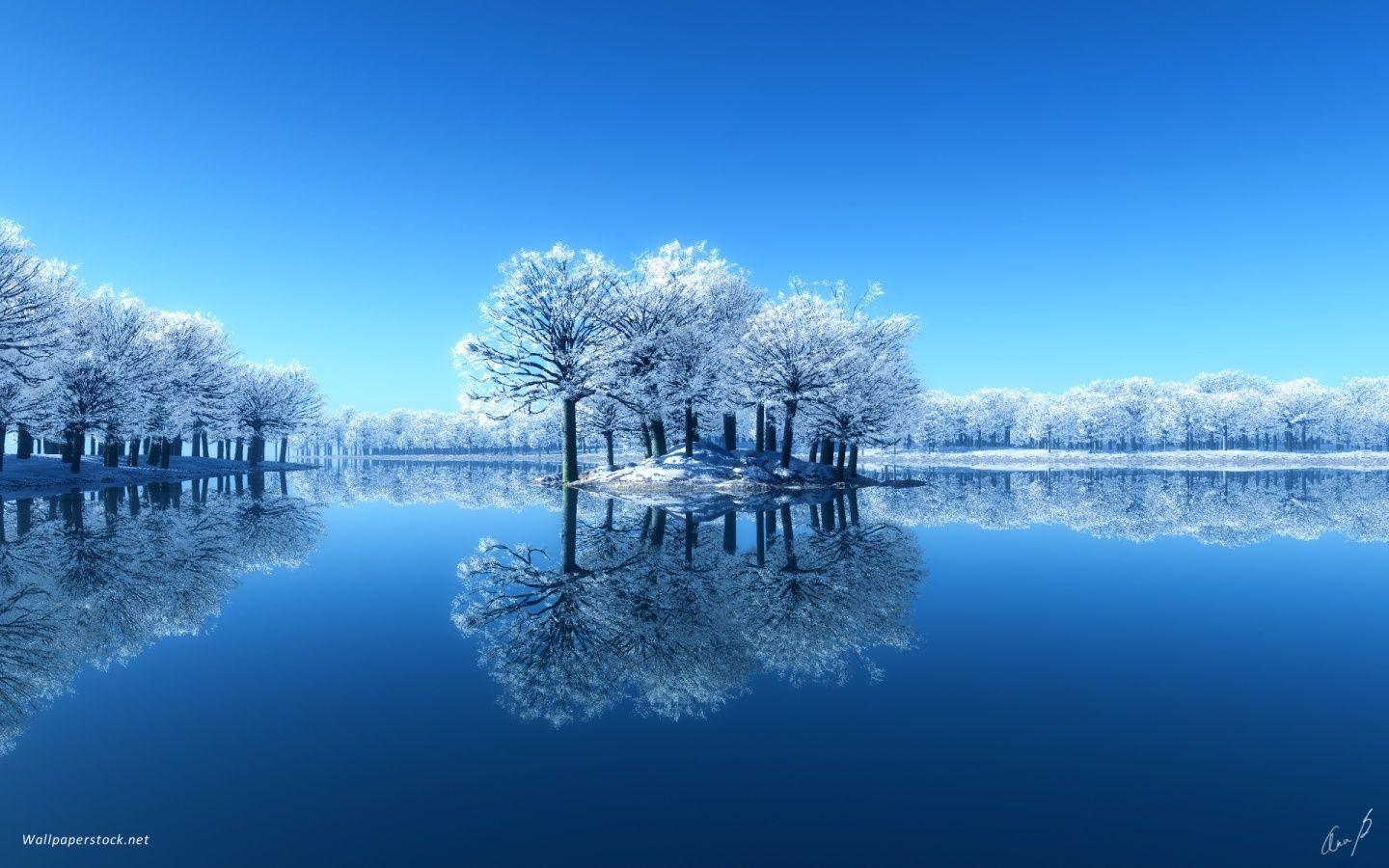 Wallpaper Winter Beautiful Scene 1440×900