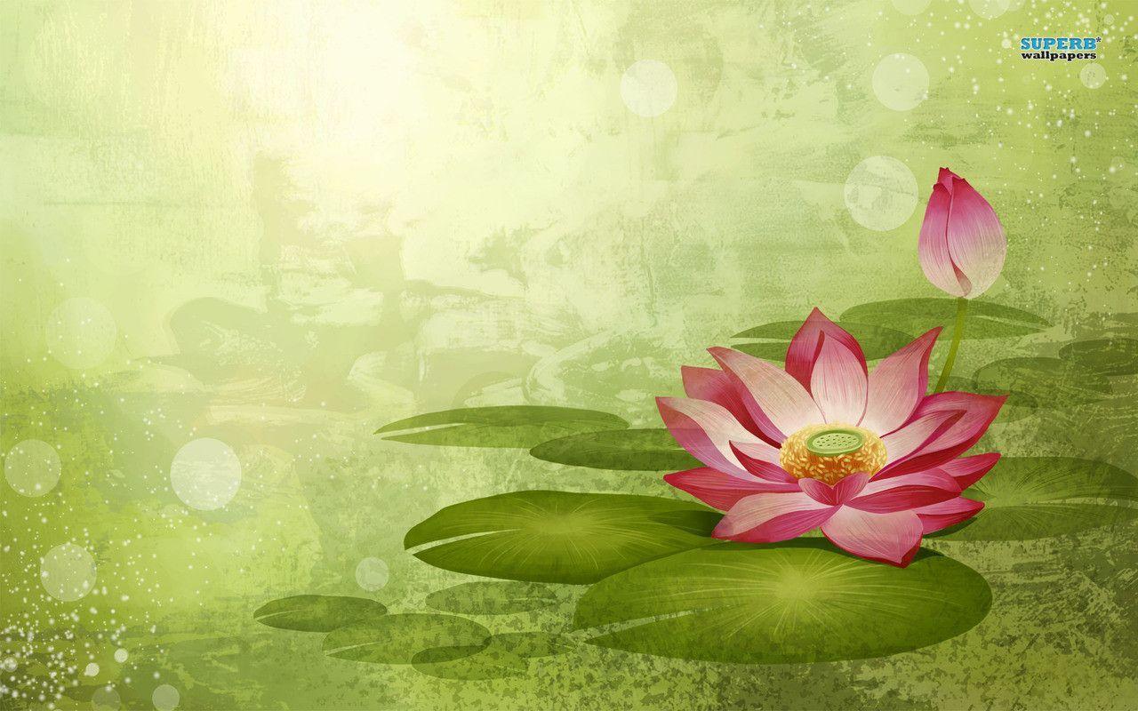 Water Lily wallpaper wallpaper - #