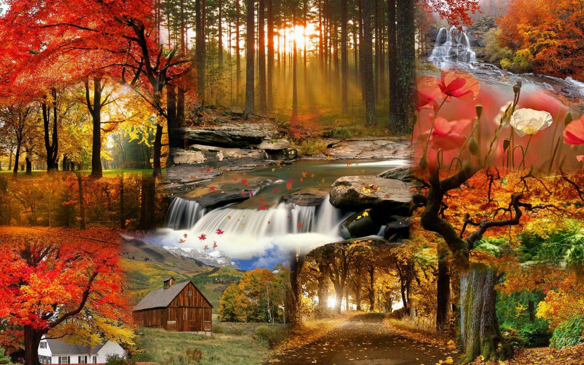 Autumn Scenes Wallpapers - Wallpaper Cave